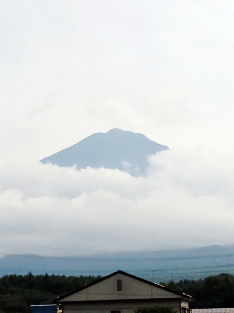 Mountain Top　ＦＪ.