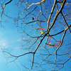 藤沢OO公園