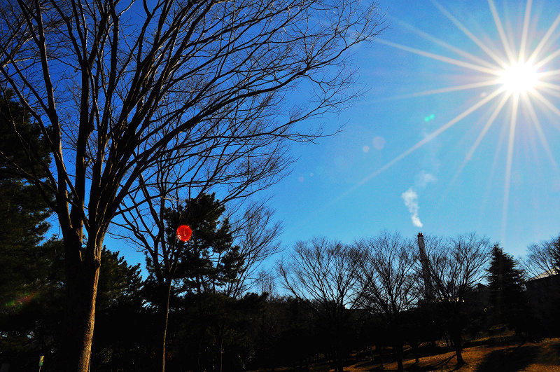 藤沢OO公園