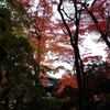紅葉