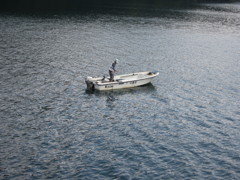 fisher