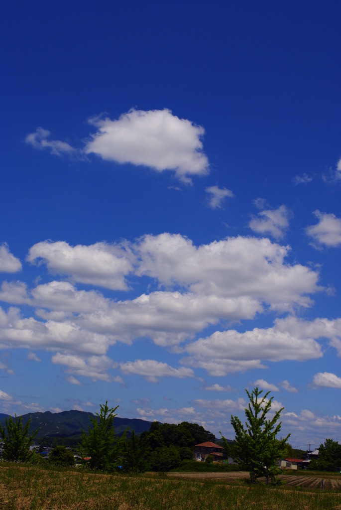 ５月の空