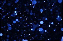降雪