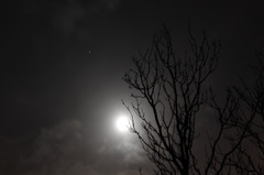 満月の夜に
