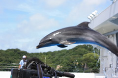 ジャンプ