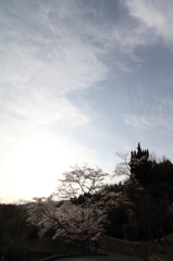 春空