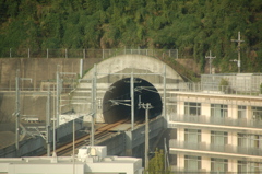 ニコンD50＋タムロン18-270mm