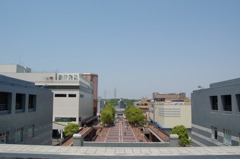 ニコンD50＋付属18-55mm