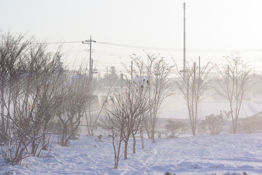 雪２