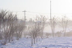 雪２