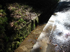 雨上がり