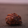 空き屋 - for SALE -