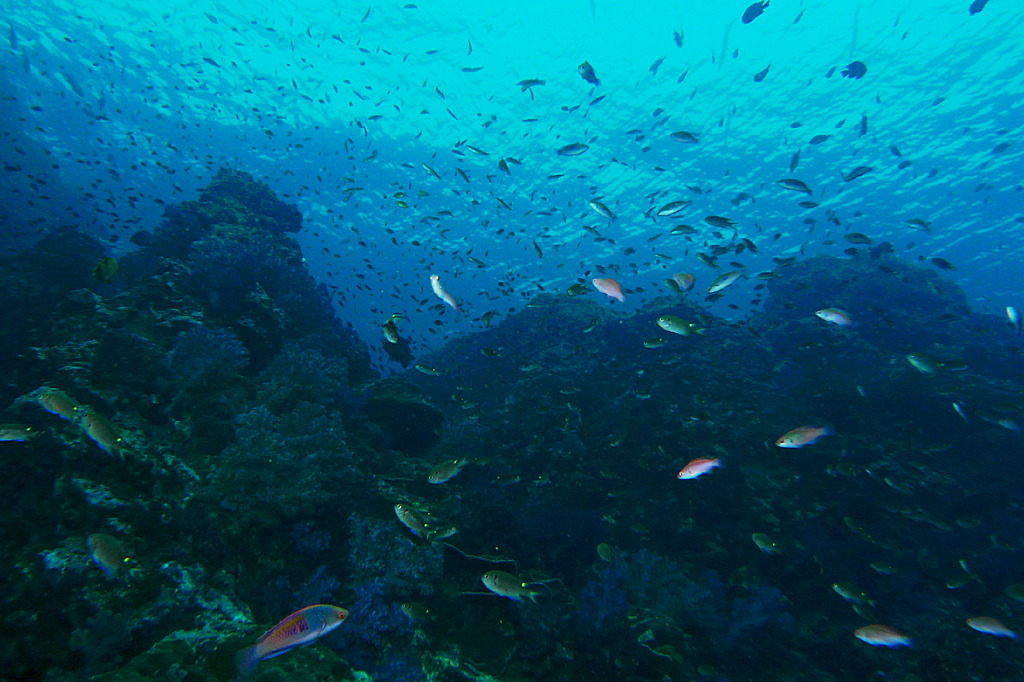 タイ・シミラン諸島