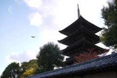 京都・東寺