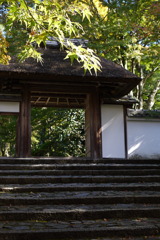 京都・東山