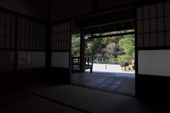 京都・天龍寺