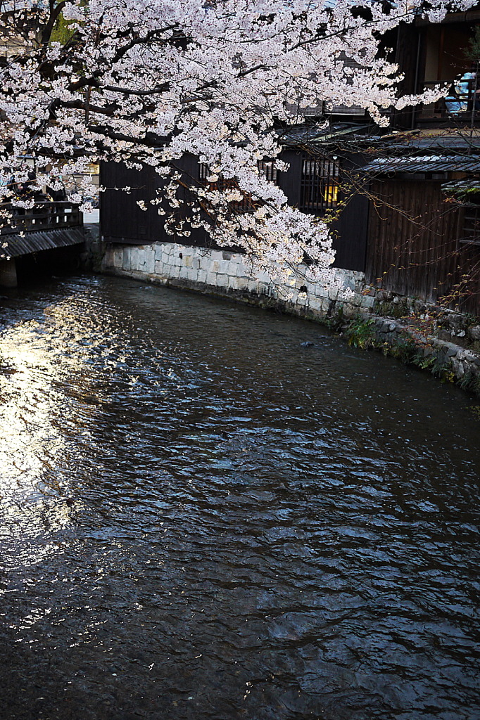 京都・祇園