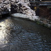 京都・祇園