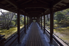 京都・天龍寺