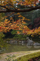 京都・広隆寺