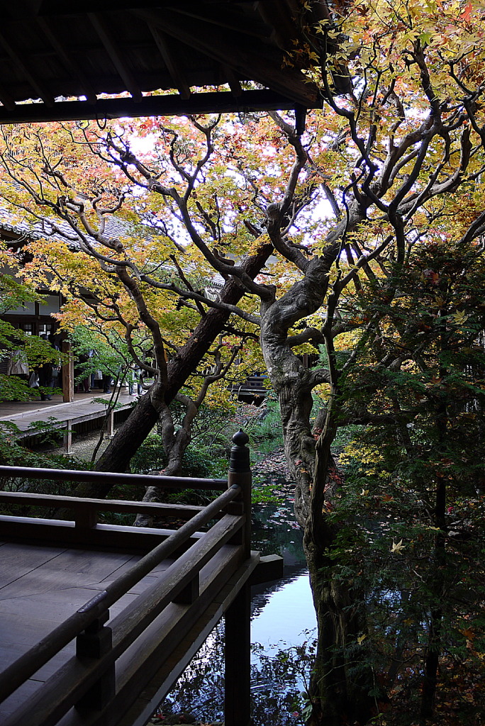 京都・禅林寺