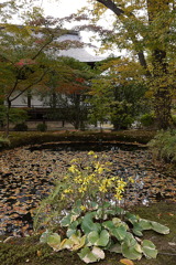 京都・広隆寺