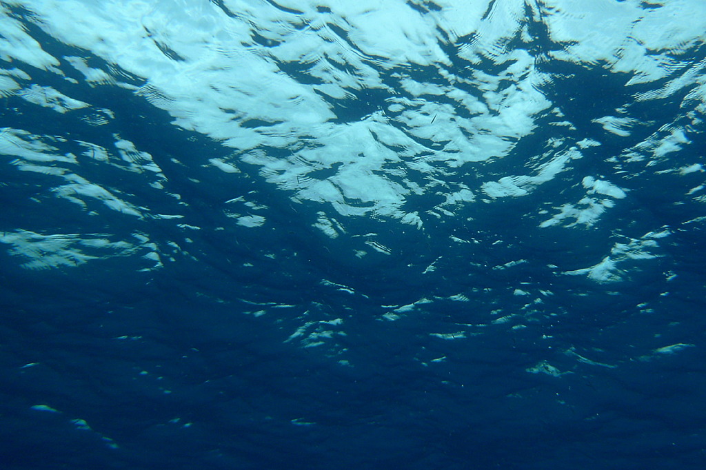 2010年夏 沖縄・渡嘉敷島
