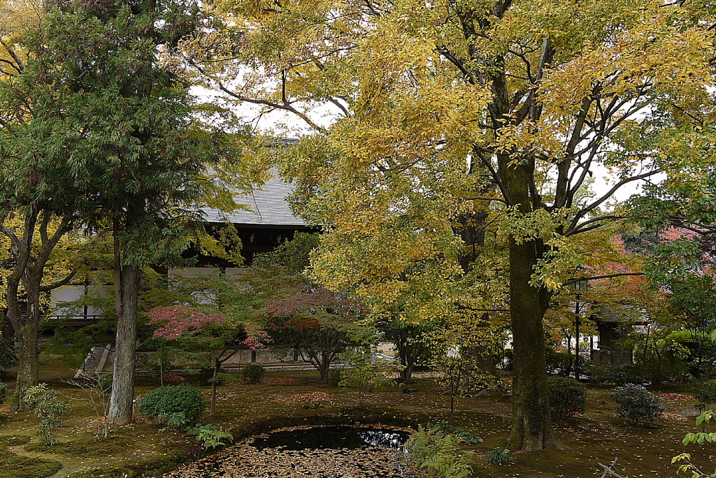 京都・広隆寺