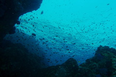 タイ・シミラン諸島