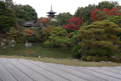 京都・仁和寺