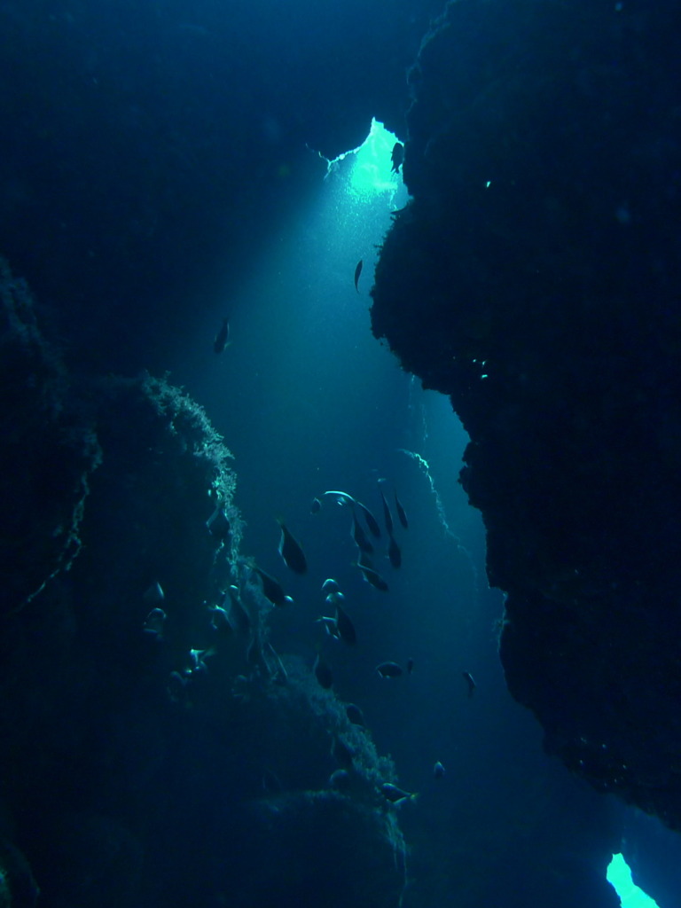 沖縄・渡嘉敷島