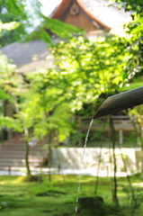 初夏の訪れ