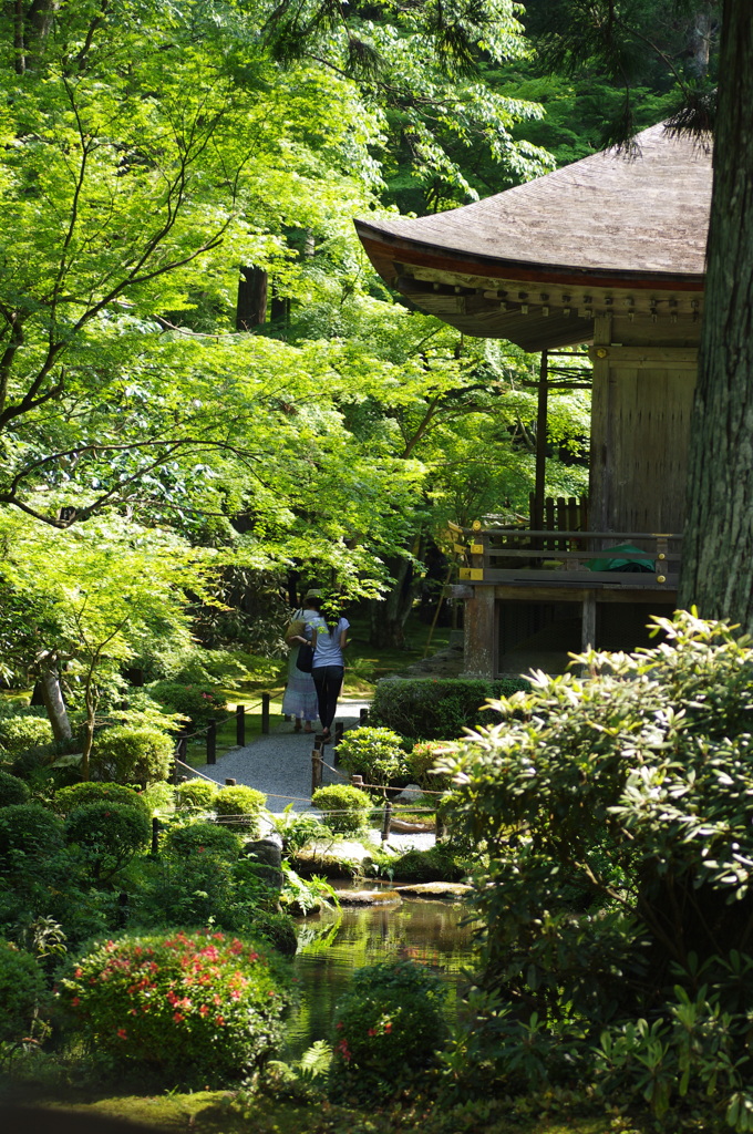 三千院から見た景色