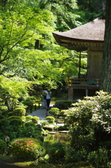 三千院から見た景色