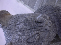 DSCN1737