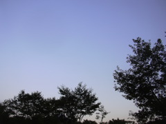 DSCN1412