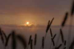 幻想的な太陽