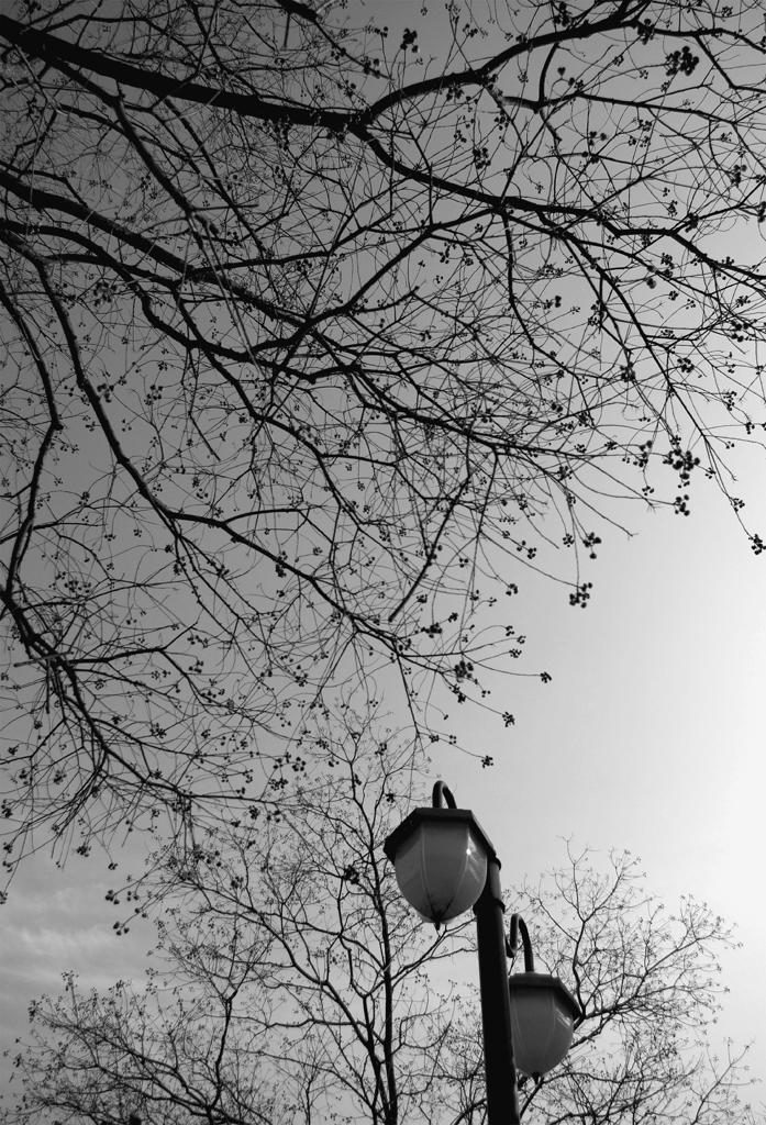 冬の青空