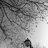 冬の青空