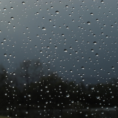 冷たい雨の日に