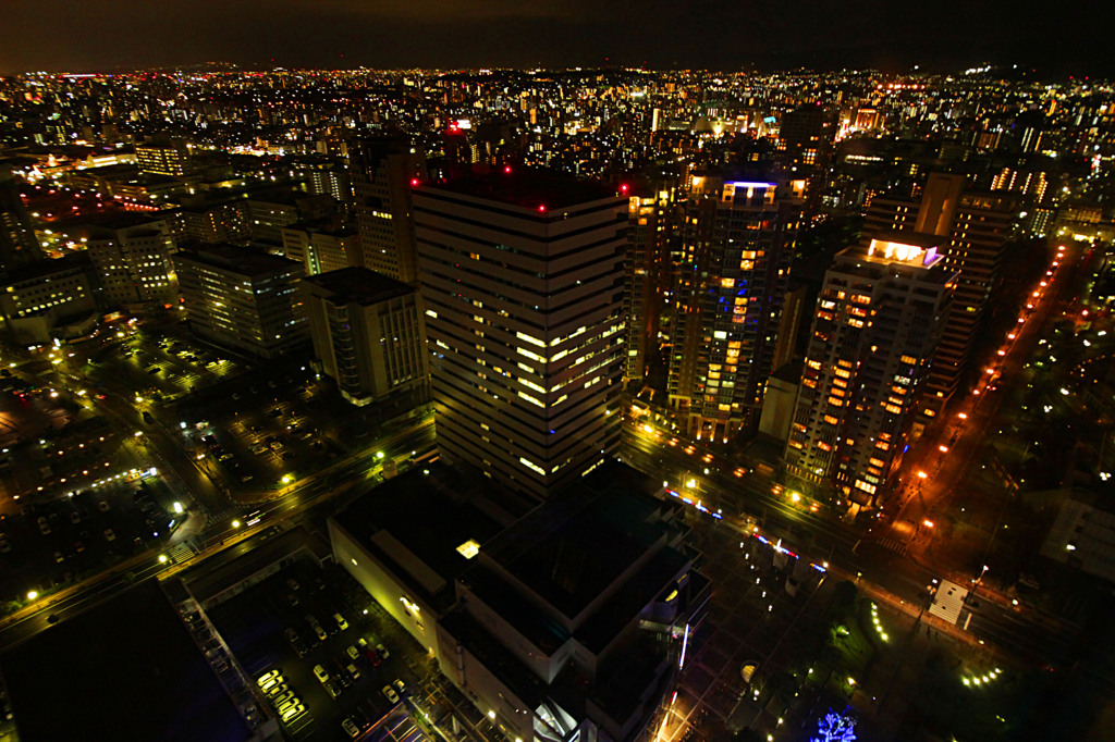 福岡タワーからの夜景