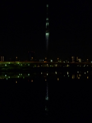 2012-NewYear
