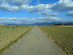 未来へ進む道