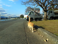 ねこ＠下画図