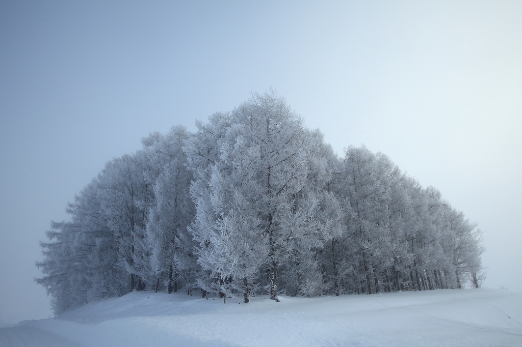 Ｆｒｏｚｅｎ