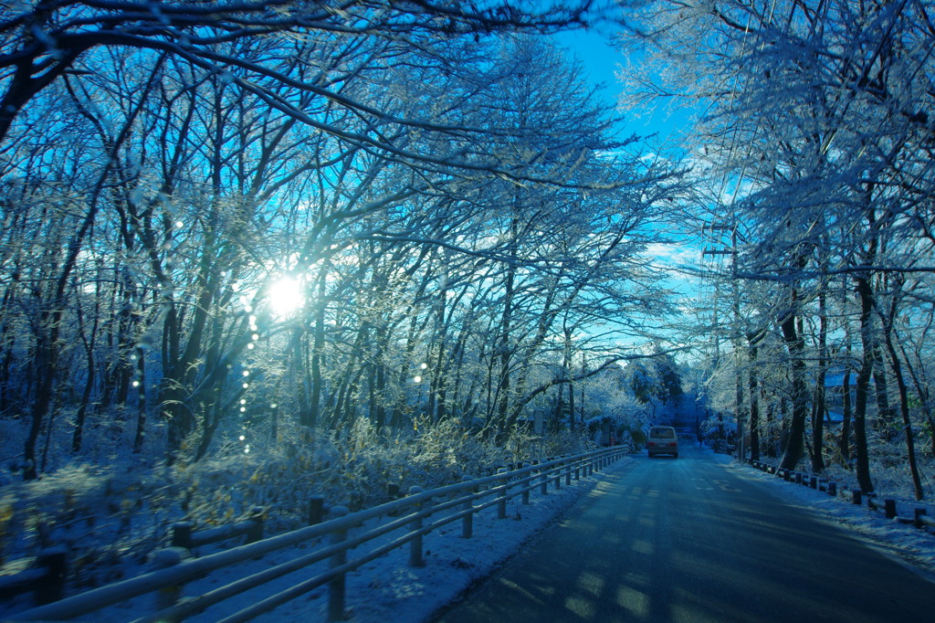 雪景色