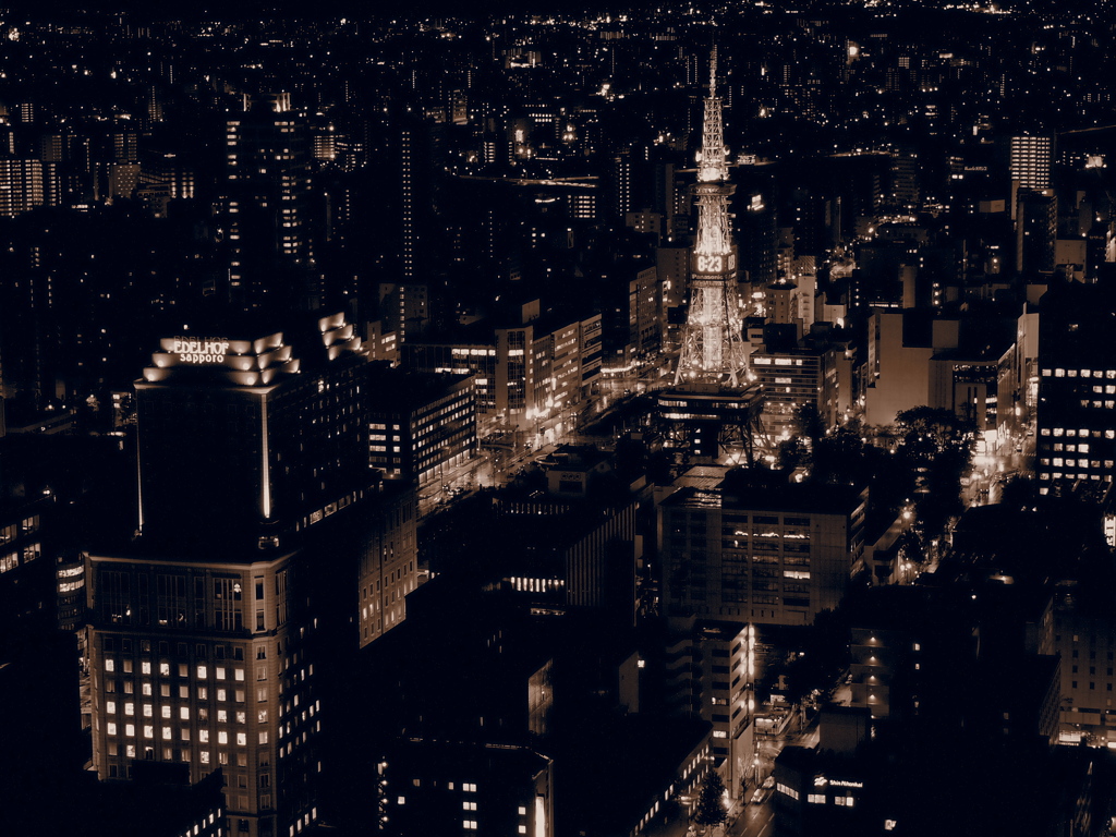 札幌の夜