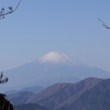 あけましておめでとうございます