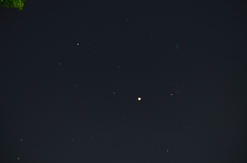 皆既月食