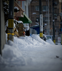 休日の仲小路